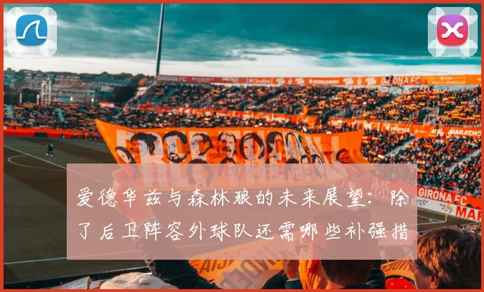 爱德华兹与森林狼的未来展望：除了后卫阵容外球队还需哪些补强措施