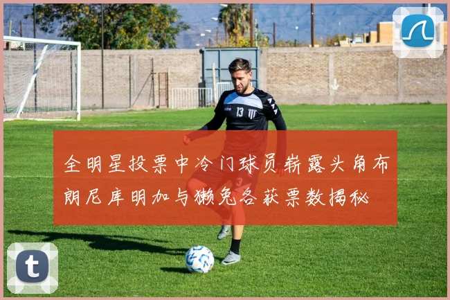 全明星投票中冷门球员崭露头角布朗尼库明加与獭兔各获票数揭秘