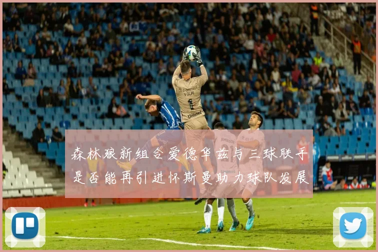森林狼新组合爱德华兹与三球联手是否能再引进怀斯曼助力球队发展
