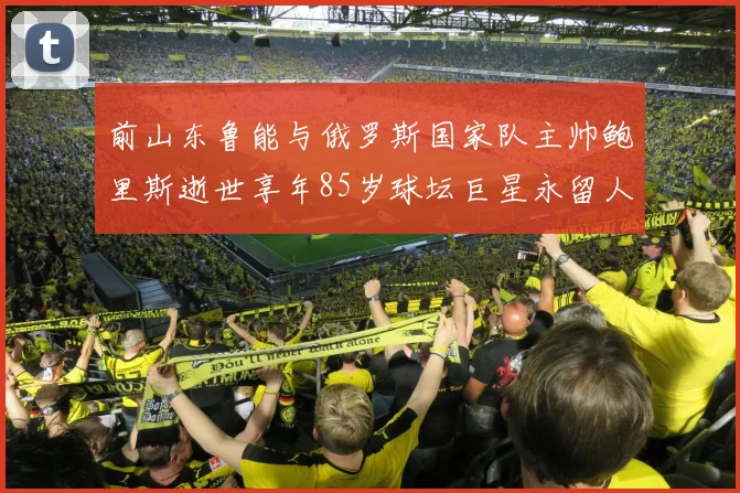前山东鲁能与俄罗斯国家队主帅鲍里斯逝世享年85岁球坛巨星永留人间
